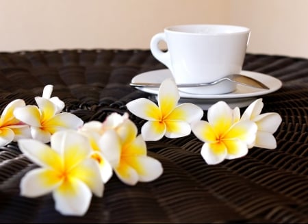 Good morning - coffee, plumeria, flower, cup