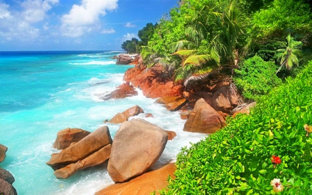 Seaside Scenery - beach, nature, rocks, sea