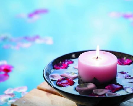 Pink Candle - candle, petals, pink, spa