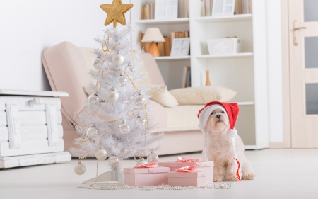 Merry Christmas! - red, animal, puppy, christmas, decoration, white, hat, santa, crcaiun, tree