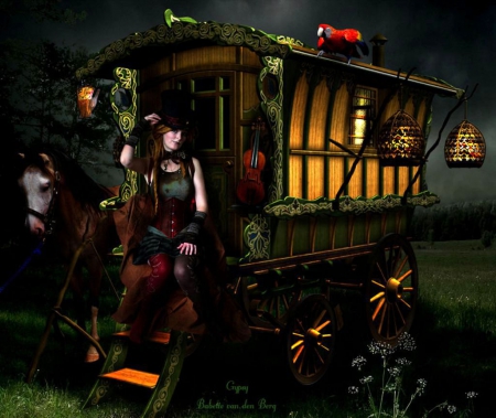 Gypsy - horse, lights, wagon, artwork, coach, woman