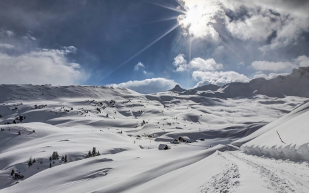 winter field - nature, fun, cool, winter, field