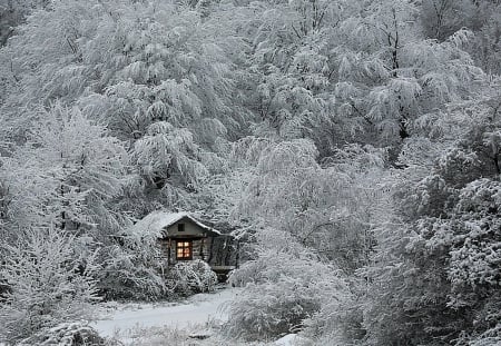 Cottage in winter - winter, trees, hut, snow