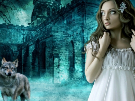 FANTASY CASTLE - night, beautiful girl, wolf, castle