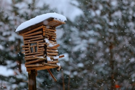 Winter - nature, snowfall, winter time, snow, winter, snowflakes, birdhouse, snowy