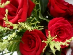 Red Roses