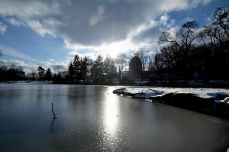 winter in the park - winter park, scenic park, winter scene, winter in the park, beautiful winter