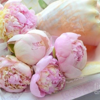 â™¥Peonies Impressionâ™¥