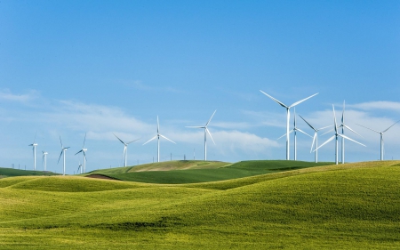 wind mills - field, fun, nature, cool