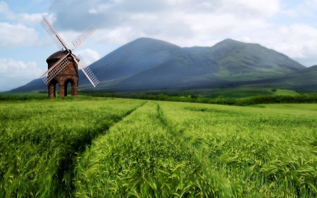 wind mill - field, fun, nature, cool