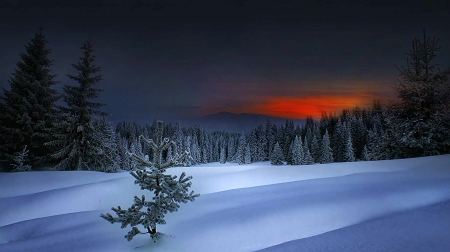 Amazing Winter Sunset - snow, winter, sunset, amazing