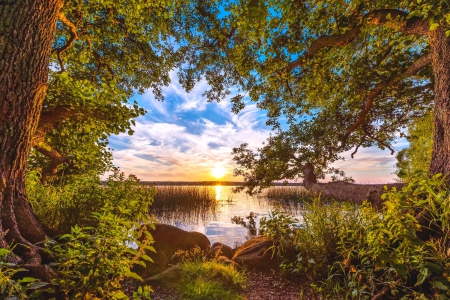 Summer Sunset - lake, sky, trees, summer, sunset, white, blue, beautiful, clouds, green, denmark, grass