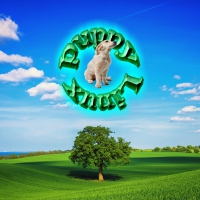Puppy Linux