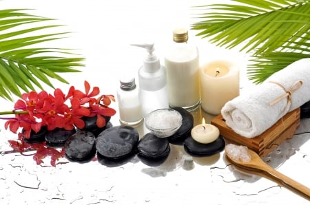 Spa - stone, oil, candle, soap, salt, spa, flowers, relax