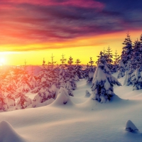 gorgeous winter sunrise