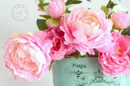 â™¥Sweetest Daysâ™¥ - love, photography, lovely, chic, peonies, love four seasons, valentines, pretty, romantic, pink, beautiful, softness beauty, holiday, colors, sweet, beloved valentines