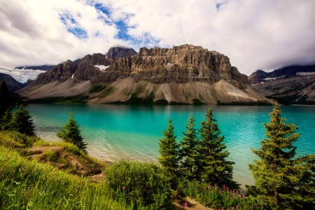 Bow lake - sky, trees, rocks, reflection, calmness, emerald, clouds, grass, lake, landscape, mountain, summer, shore, serenity, tranquility, vliffs, bow, beautiful, flowers