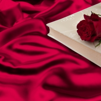 Pink silk Wallpapers - Page 14 - Desktop Nexus