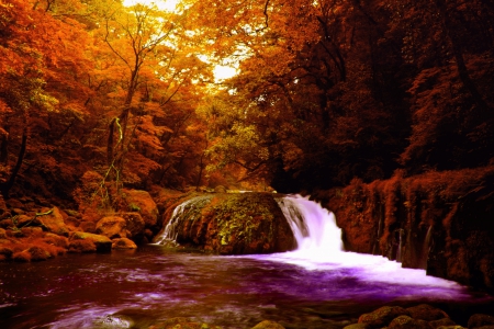 AUTUMN FALLS - river, nature, autumn, falls, forest