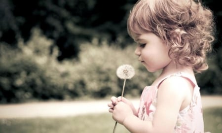 â™¥ - dandelion, little, cute, sweet, girl