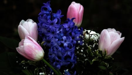 Flowers - flowers, tulip, purple, pink