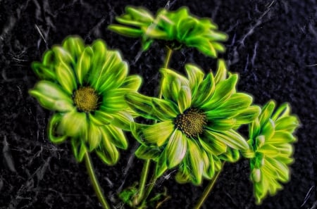 Green Flowers - flowers, flower, abstract, green