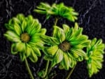 Green Flowers