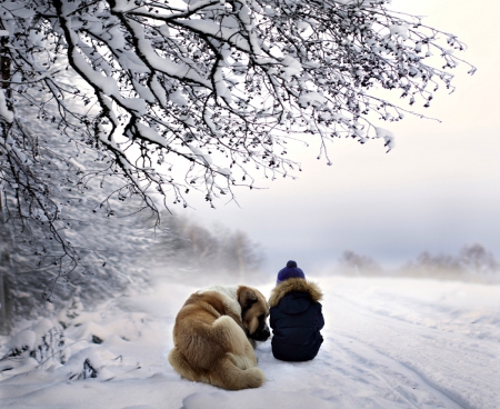 áƒ¦ - love, trees, winter, child, nature, winter time, dog, snow, snowy