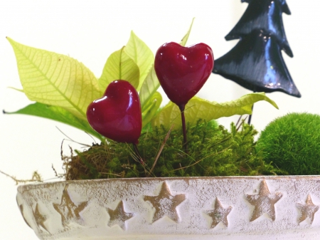 Christmas Decorations - pot, christmas, decorations, colors, flower, tree, hearts