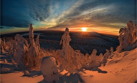 Amazing Nature - tres, winter, sunset, snow