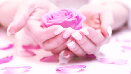 For you. - nails, pink, rose, hands