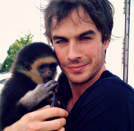 Ian Somerhalder - ian somerhalder, anima, man, actor, monkey, cute