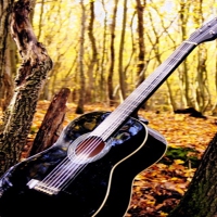 Autumn with guitar