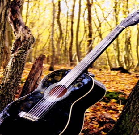 Autumn with guitar - nature, autumn, guitar, forests, trees, music, leaves