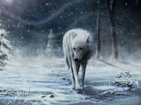 Lone wolf - white, cold, snow, wander, lost