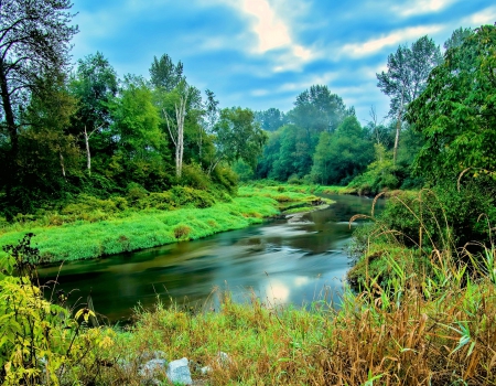 Winding Summer River - clouds, trees, water, summer, beautiful, shrubs, grass, forest, river, green