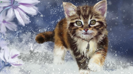 Kitten - flower, exploring, cat, artwork, playful, time, kitten, adventure, painting, snow