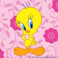 tweety pie