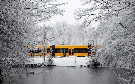 across the winter - winter, train, tree, snow