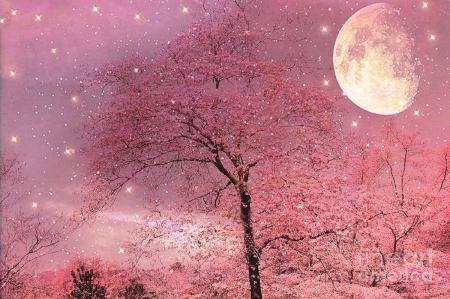 ★Pink Moonlight★ - pretty, trees, beautiful, colors, lovely, pink, stars, sweet, moonlight, moons, forests, nature, love four seasons