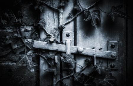 Secret Garden - door, blue, garden, leaf, leaves