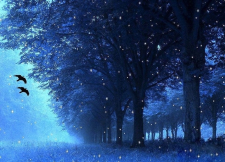 â˜…Blue Breathtakingâ˜… - love four seasons, pretty, cool, beautiful, stars, blue, flying birds, lovely, trees, nature, colors