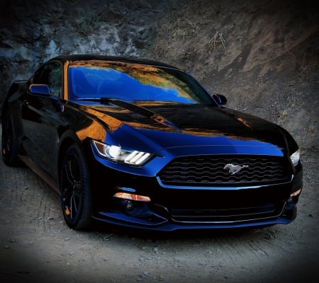 dark_mustang - dark, lovely, eagle eye, mustang