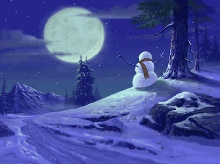 Alone and awake - moon, snowman, winter, beautiful, splendor, snow, night, nature, field, humphries