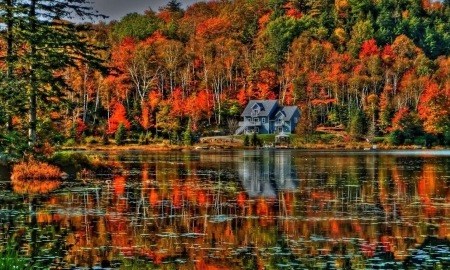 Lovely Place - lake, fall, forest, trees