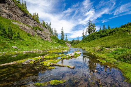 Bagley State Park - nature, fun, forest, cool, river