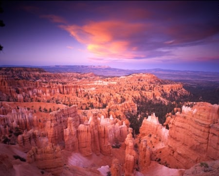 Sunset - canyon - sunset, forest, landscape, canyon