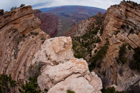 Canyon - landscape - forest, landscape, canyon, rocks