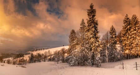 Winter - Zakopane - Poland - sunset, Zakopane, Poland, Winter, forest