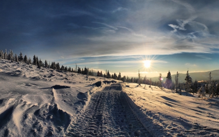 Winter - road - winter, forest, road, snow